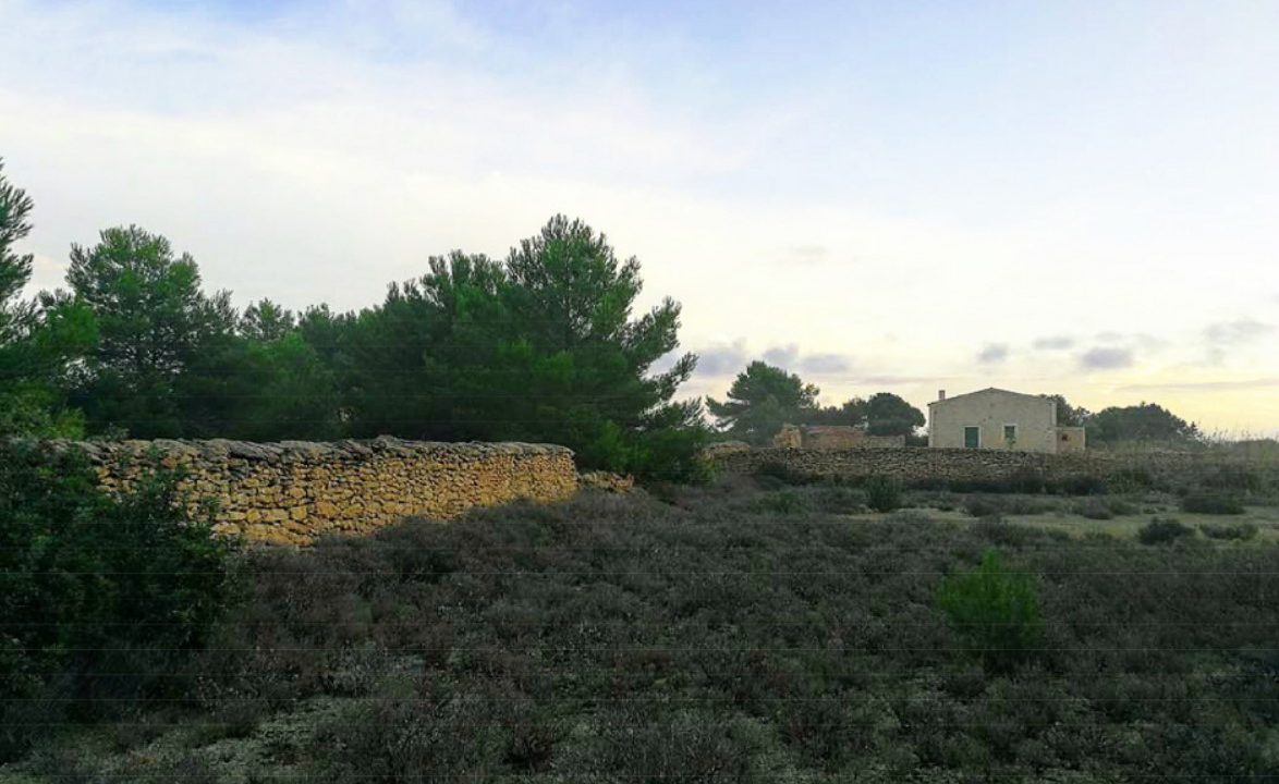ikh-formentera-land
