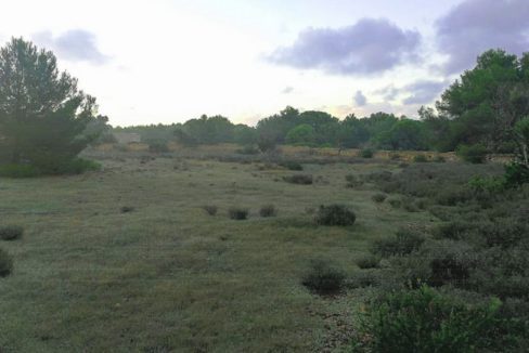 ikh-formentera-land98