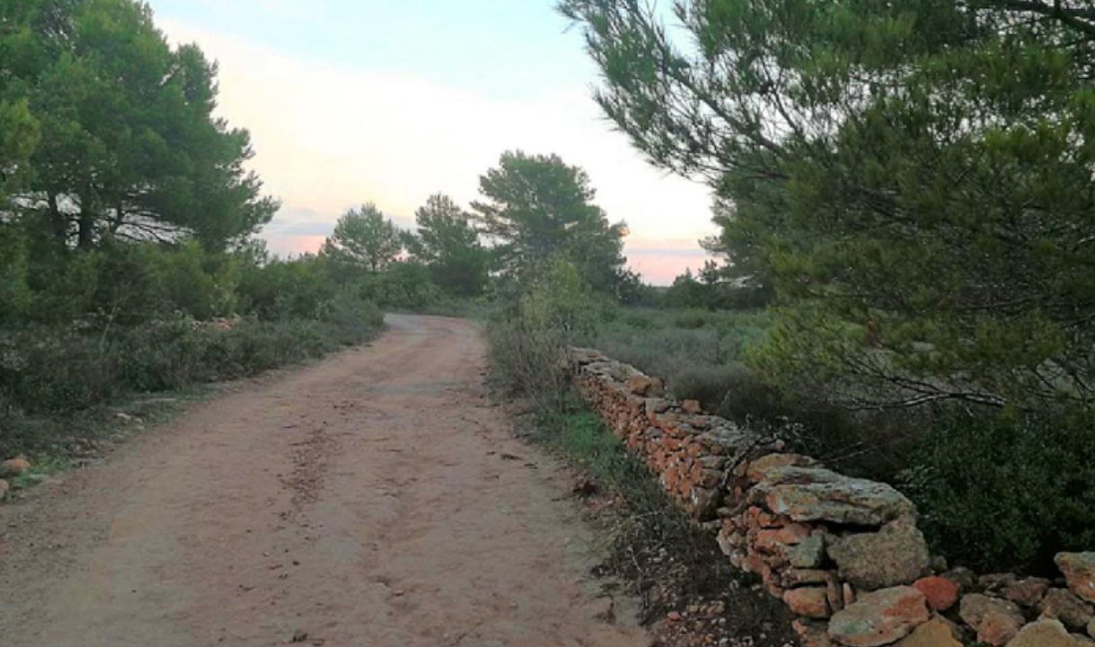 ikh-formentera-land´1